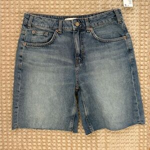 BDG Mid-Rise Jorts